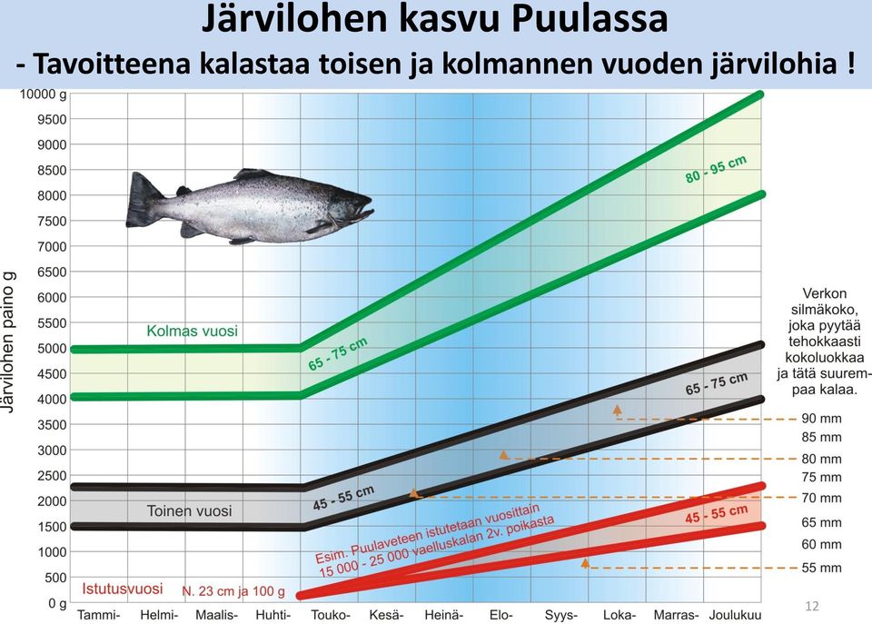 kalastaa toisen ja