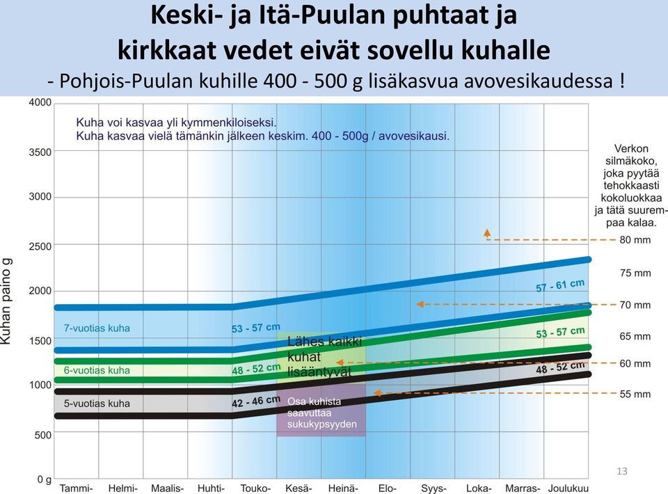 kuhalle - Pohjois-Puulan kuhille