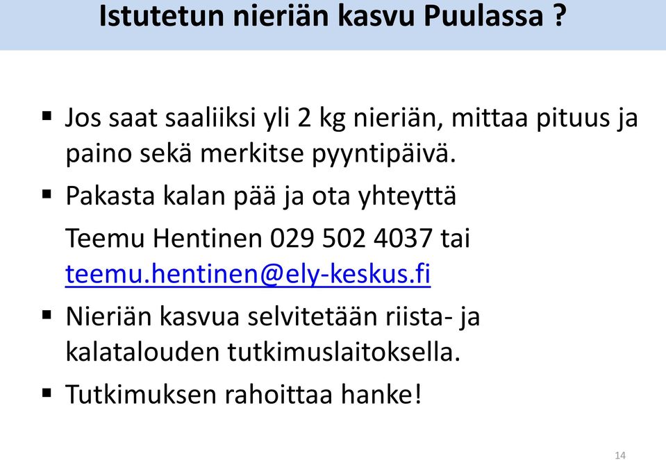 pyyntipäivä.