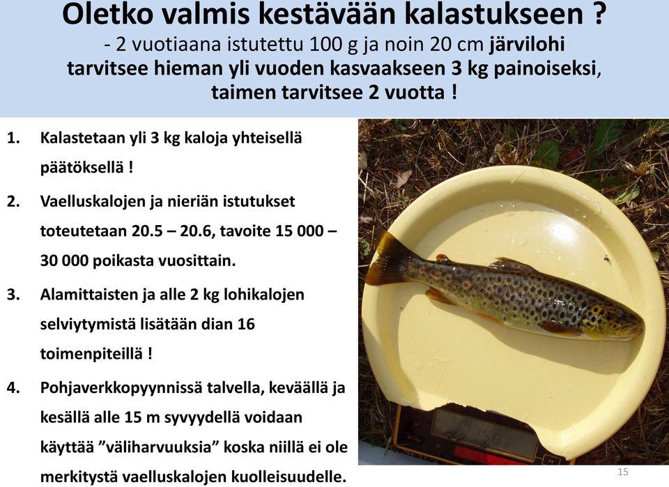 2. Vaelluskalojen ja nieriän istutukset toteutetaan 20.5 20.6, tavoite 15 000 30