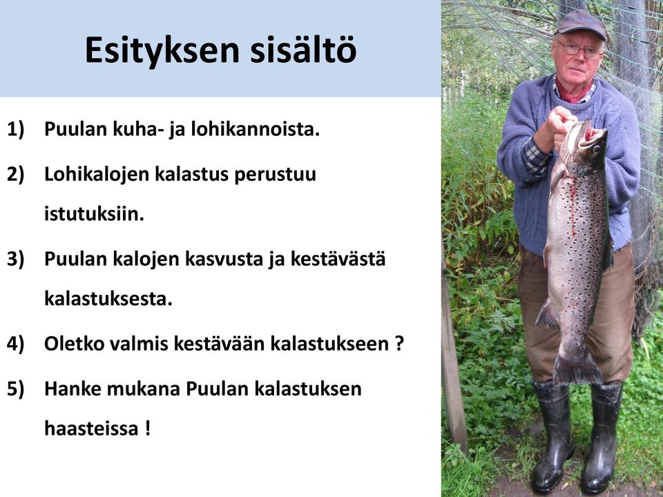 3) Puulan kalojen kasvusta ja kestävästä kalastuksesta.