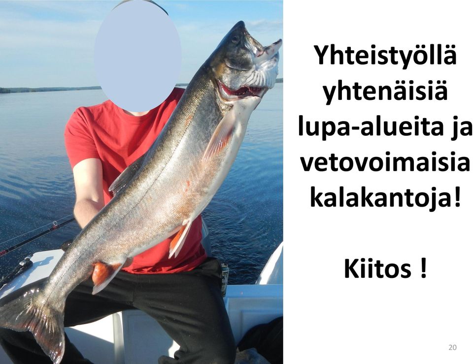 vetovoimaisia