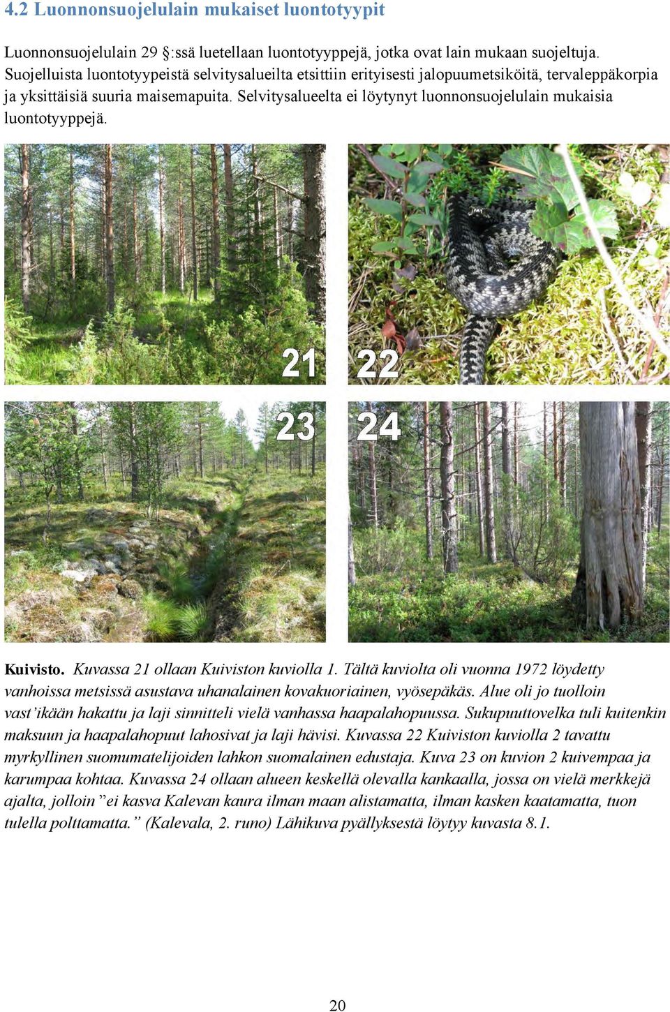 Selvitysalueelta ei löytynyt luonnonsuojelulain mukaisia luontotyyppejä. Kuivisto. Kuvassa 21 ollaan Kuiviston kuviolla 1.