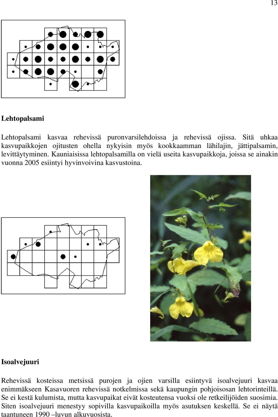 Kauniaisissa lehtopalsamilla on vielä useita kasvupaikkoja, joissa se ainakin vuonna 2005 esiintyi hyvinvoivina kasvustoina.