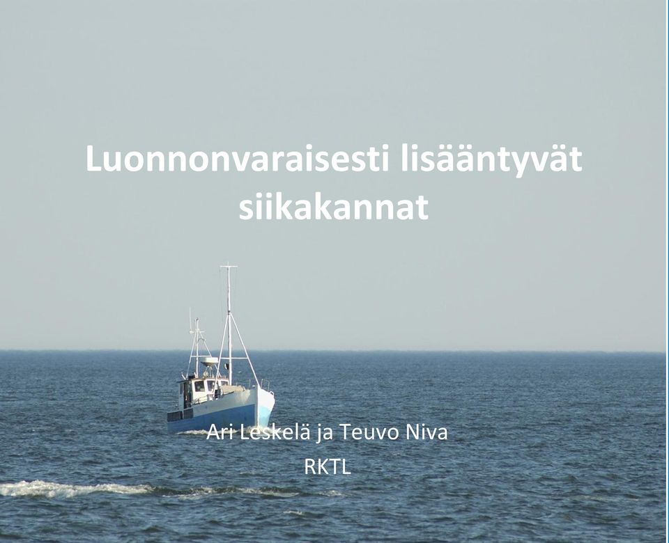 siikakannat Ari