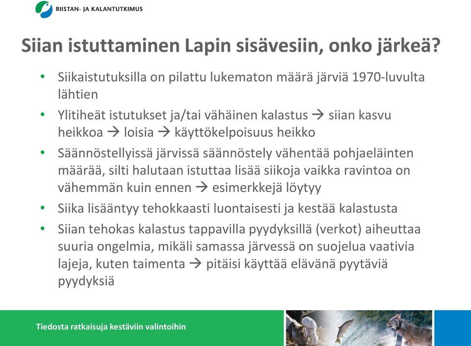 käyttökelpoisuus heikko Säännöstellyissä järvissä säännöstely vähentää pohjaeläinten määrää, silti halutaan istuttaa lisää siikoja vaikka ravintoa on vähemmän