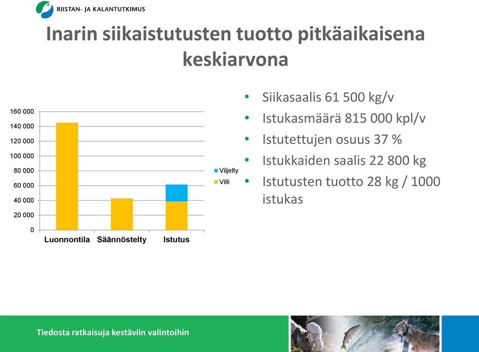 kg/v Istukasmäärä 815 000 kpl/v Istutettujen osuus 37 % Istukkaiden saalis 22
