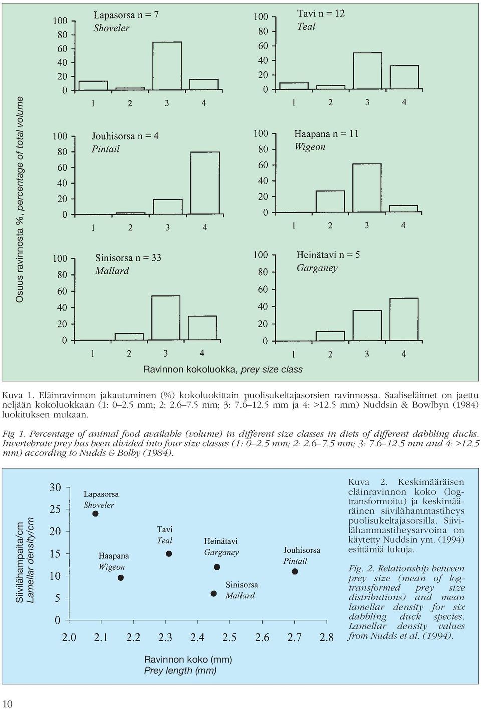 Percentage of animal food available (volume) in different size classes in diets of different dabbling ducks. Invertebrate prey has been divided into four size classes (1: 0 2.5 mm; 2: 2.6 7.