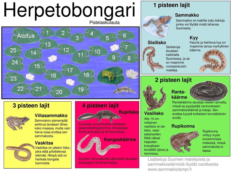 Niinpä sitä on hankala bongata luonnosta. 4 pisteen lajit Rupilisko Suurempi ja tummempi kahdesta salamanterilajistamme. Ainoastaan Ahvenanmaalla ja Itä-Suomessa.