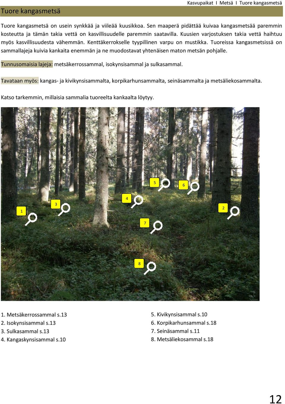 kuivia kankaita enemmän ja ne muodostavat yhtenäisen maton metsän pohjalle Tunnusomaisia lajeja: metsäkerrossammal, isokynsisammal ja sulkasammal Tavataan myös: kangas- ja kivikynsisammalta,