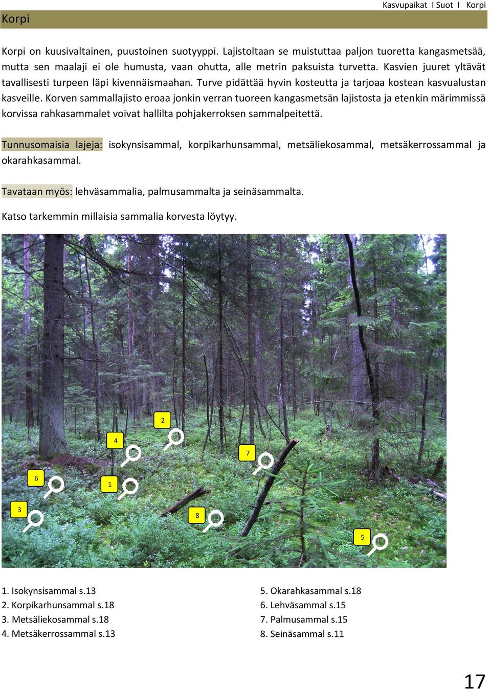 tuoreen kangasmetsän lajistosta ja etenkin märimmissä korvissa rahkasammalet voivat hallilta pohjakerroksen sammalpeitettä Tunnusomaisia lajeja: isokynsisammal, korpikarhunsammal, metsäliekosammal,