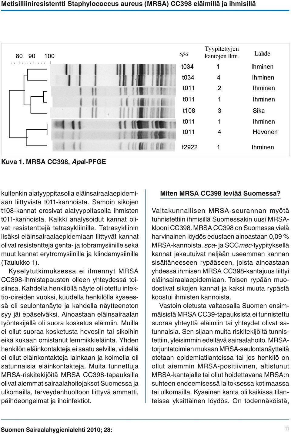 MRSA CC398, ApaI-PFGE kuitenkin alatyyppitasolla eläinsairaalaepidemiaan liittyvistä t011-kannoista. Samoin sikojen t108-kannat erosivat alatyyppitasolla ihmisten t011-kannoista.