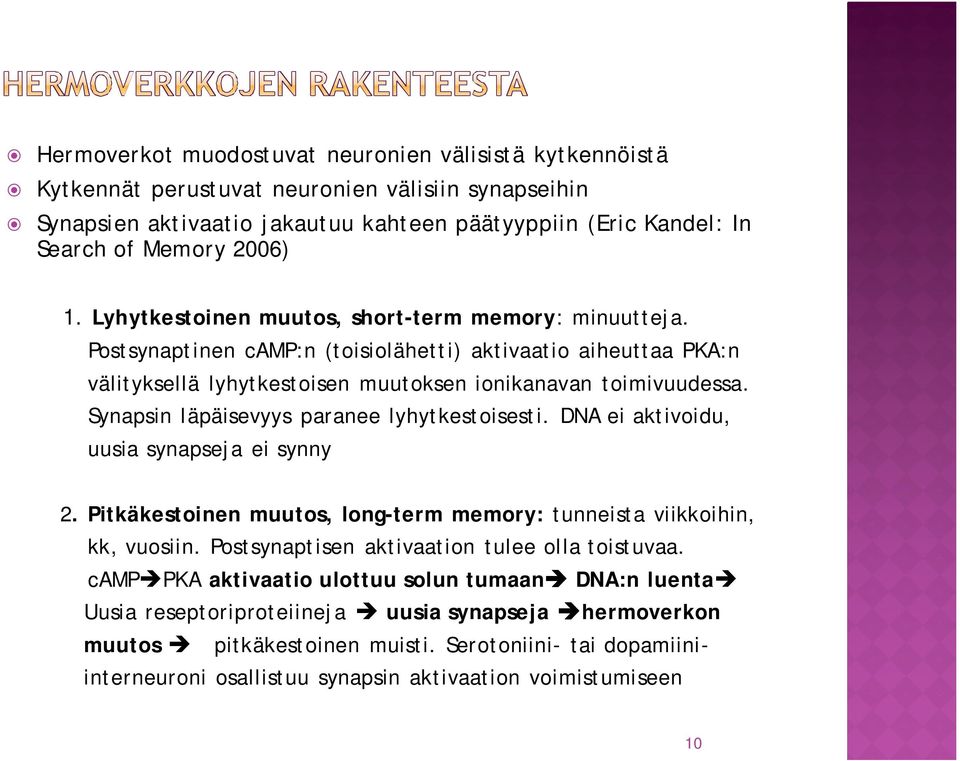 Synapsin läpäisevyys paranee lyhytkestoisesti. DNA ei aktivoidu, uusia synapseja ei synny 2. Pitkäkestoinen muutos, long-term memory: tunneista viikkoihin, kk, vuosiin.