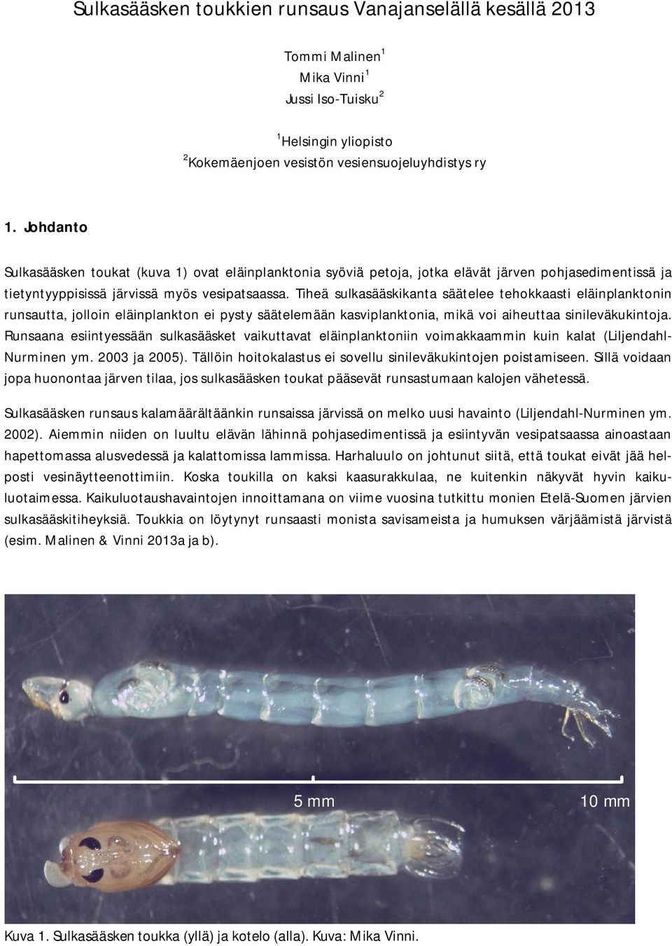 Tiheä sulkasääskikanta säätelee tehokkaasti eläinplanktonin runsautta, jolloin eläinplankton ei pysty säätelemään kasviplanktonia, mikä voi aiheuttaa sinileväkukintoja.