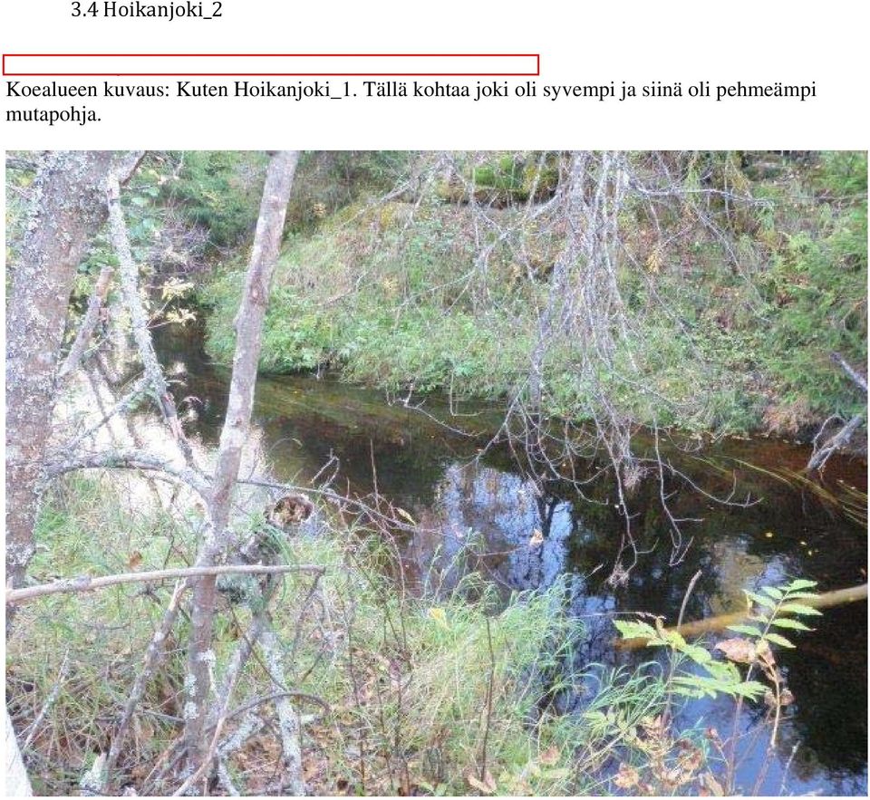 Koealueen kuvaus: Kuten Hoikanjoki_1.