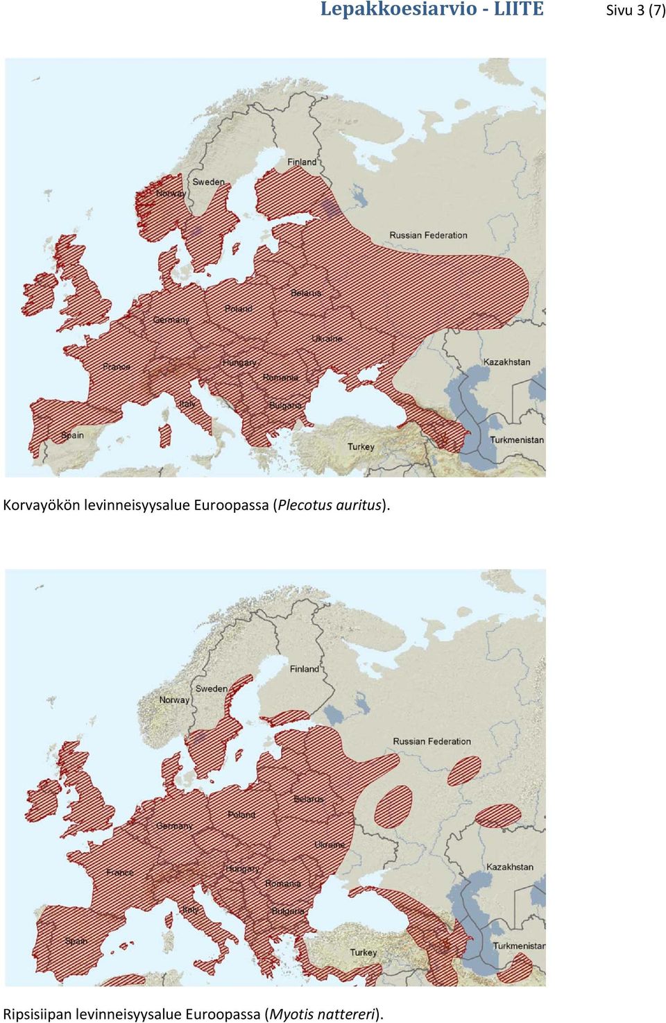 Euroopassa (Plecotus auritus).