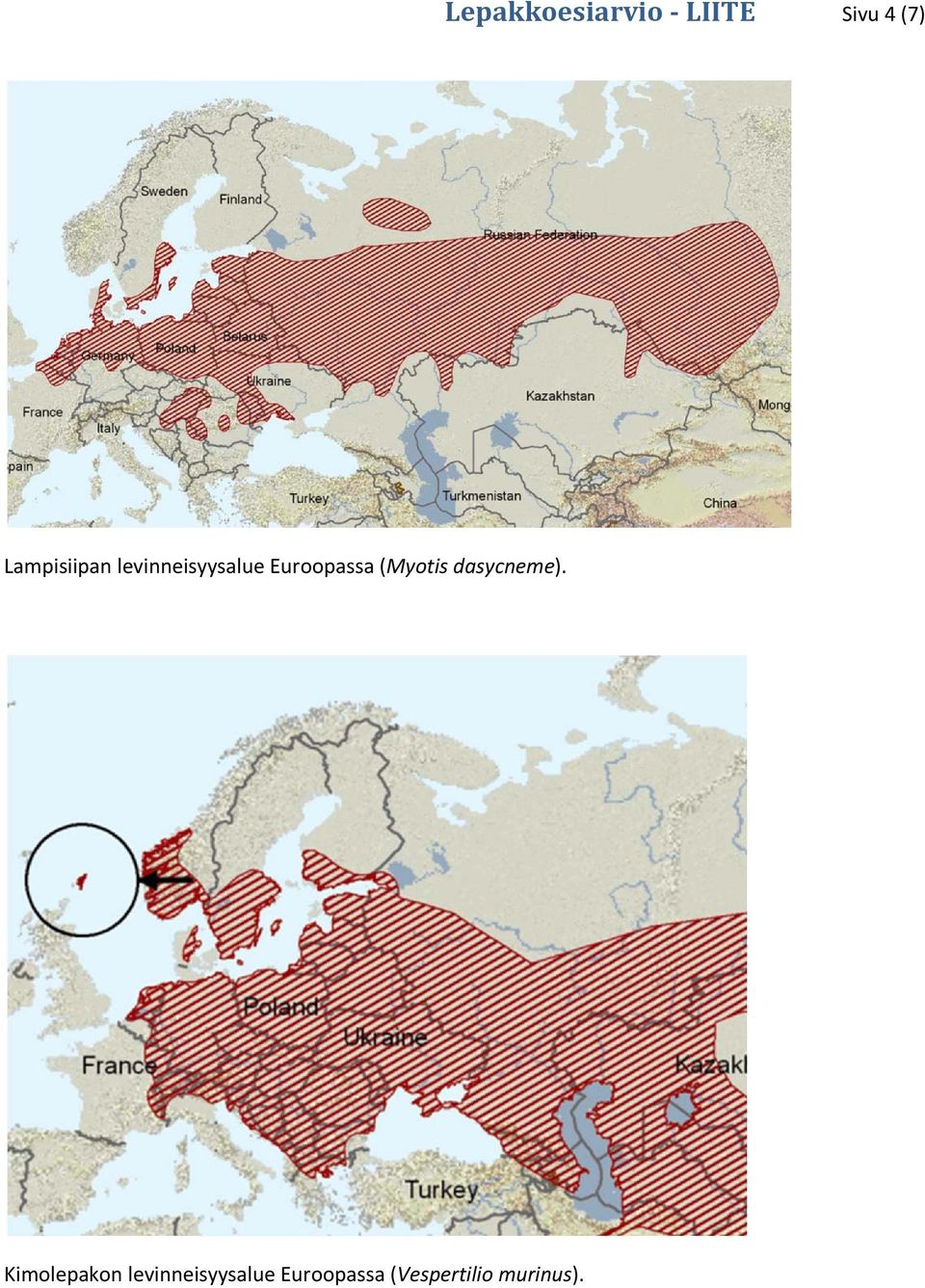 Euroopassa (Myotis dasycneme).