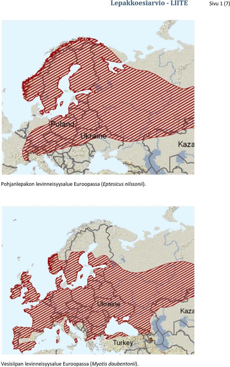 Euroopassa (Eptesicus nilssonii).