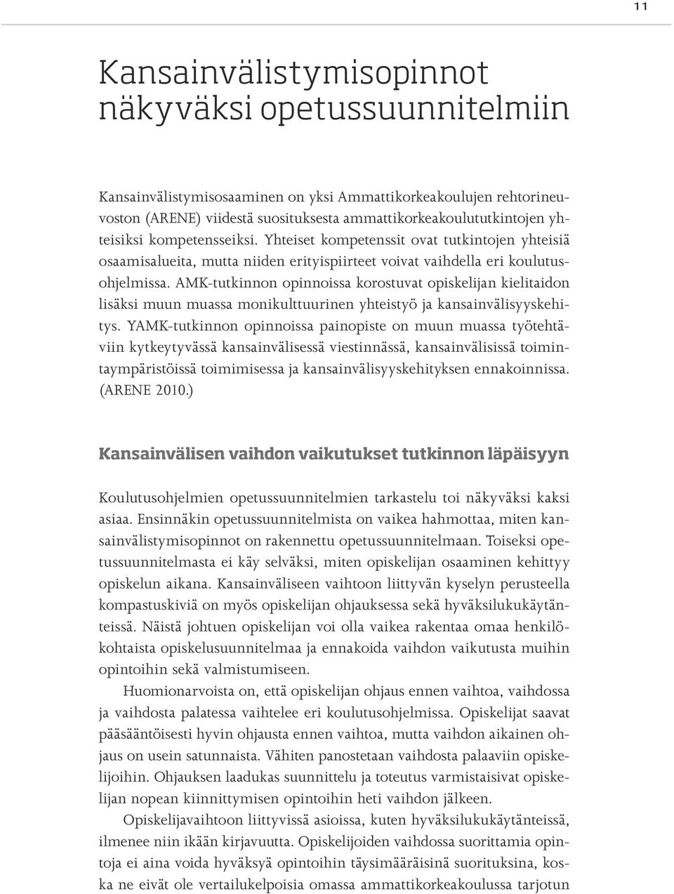 AMK-tutkinnon opinnoissa korostuvat opiskelijan kielitaidon lisäksi muun muassa monikulttuurinen yhteistyö ja kansainvälisyyskehitys.