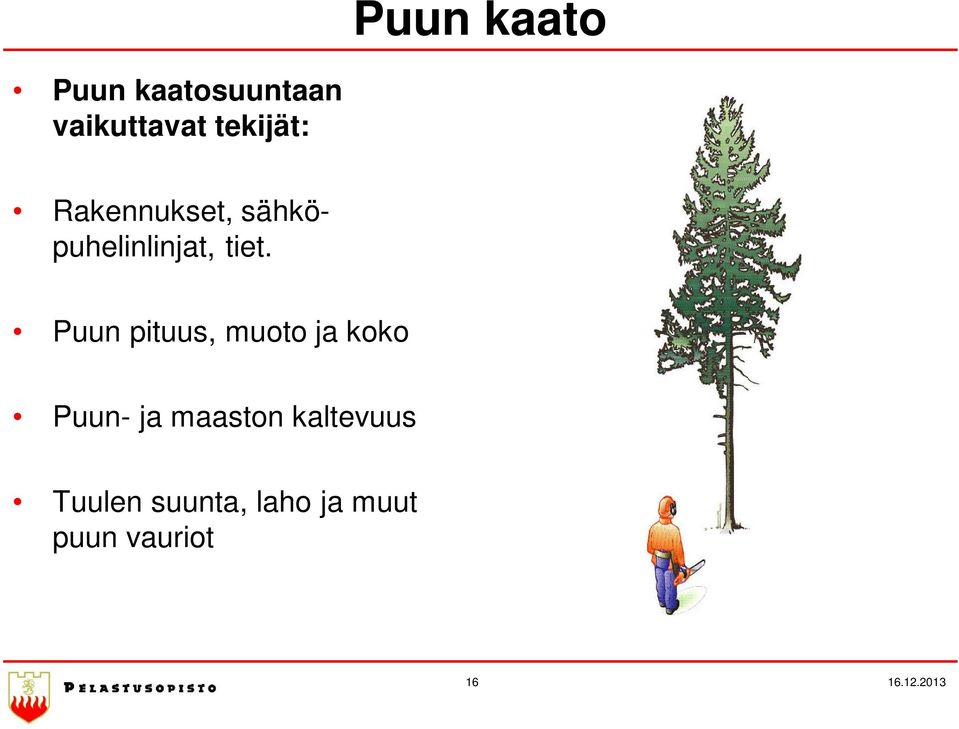 Puun pituus, muoto ja koko Puun- ja maaston