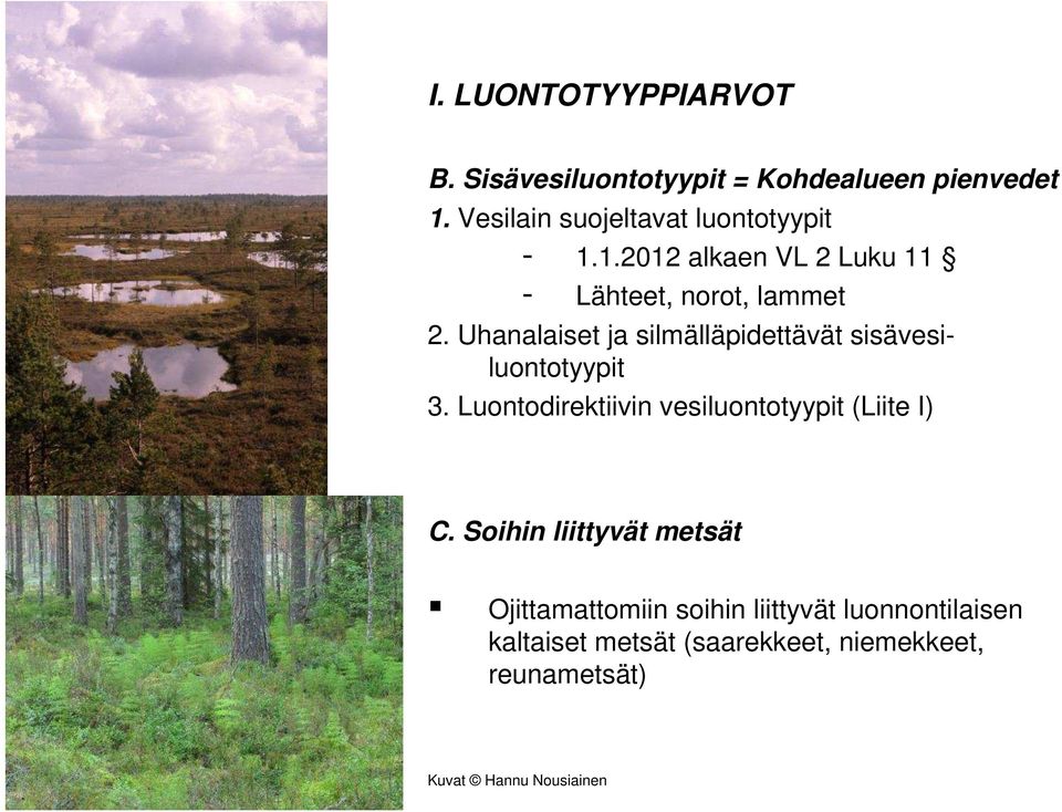 Uhanalaiset ja silmälläpidettävät sisävesiluontotyypit 3. Luontodirektiivin vesiluontotyypit (Liite I) C.