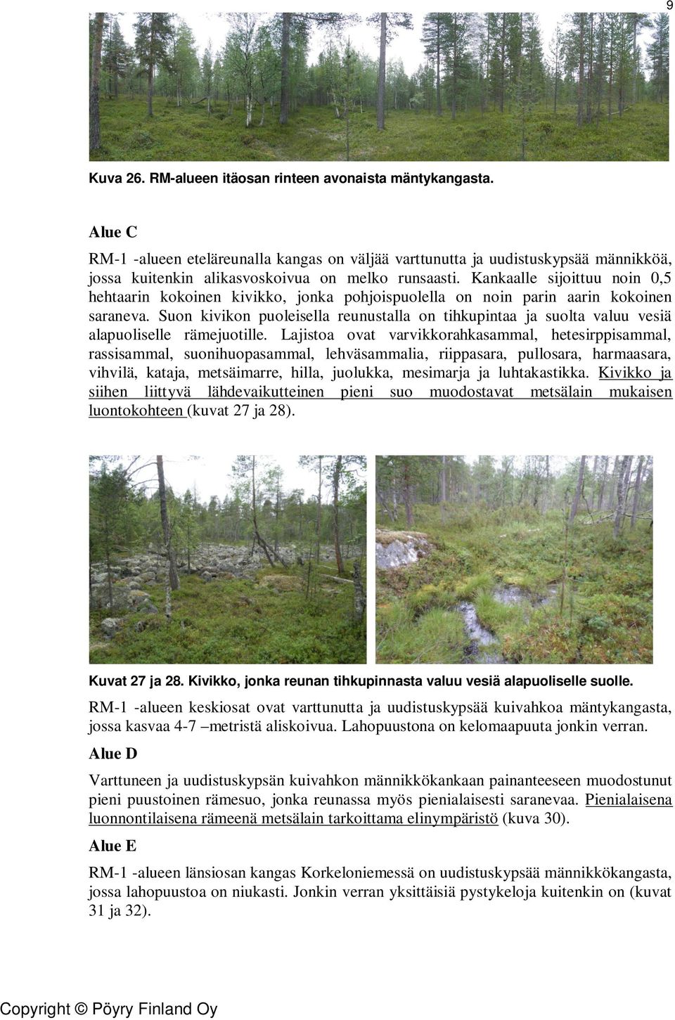 Kankaalle sijoittuu noin 0,5 hehtaarin kokoinen kivikko, jonka pohjoispuolella on noin parin aarin kokoinen saraneva.