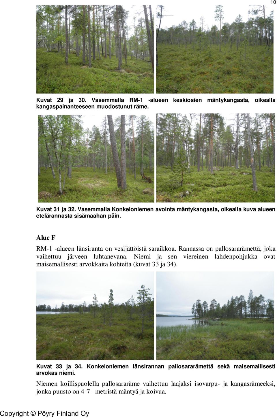 Rannassa on pallosararämettä, joka vaihettuu järveen luhtanevana. Niemi ja sen viereinen lahdenpohjukka ovat maisemallisesti arvokkaita kohteita (kuvat 33 ja 34).