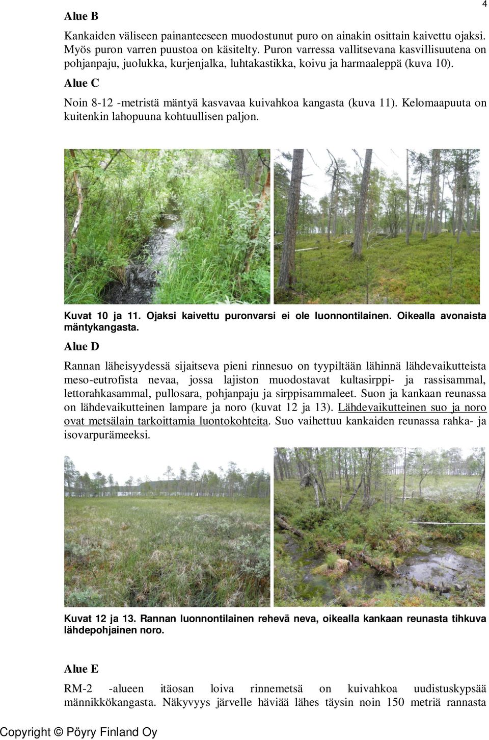 Alue C Noin 8-12 -metristä mäntyä kasvavaa kuivahkoa kangasta (kuva 11). Kelomaapuuta on kuitenkin lahopuuna kohtuullisen paljon. 4 Kuvat 10 ja 11. Ojaksi kaivettu puronvarsi ei ole luonnontilainen.