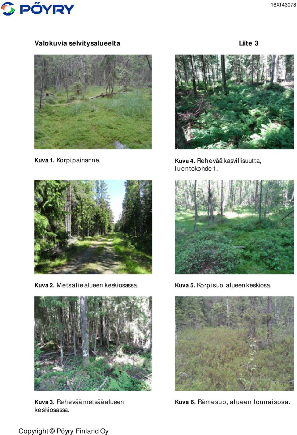 Metsätie alueen keskiosassa. Kuva 5. Korpisuo, alueen keskiosa. Kuva 3.