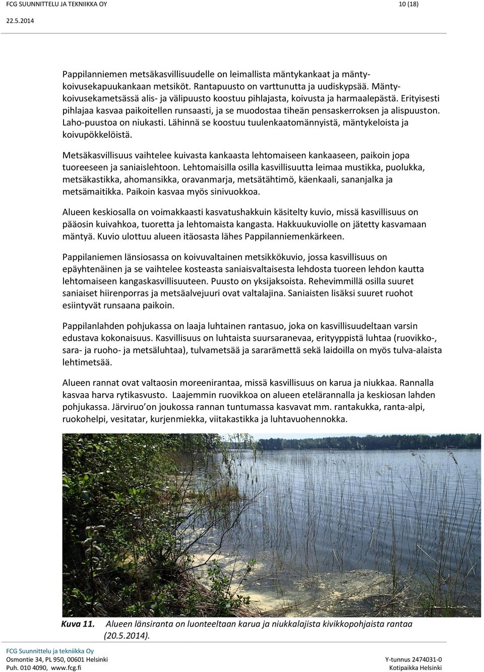 Laho-puustoa on niukasti. Lähinnä se koostuu tuulenkaatomännyistä, mäntykeloista ja koivupökkelöistä.