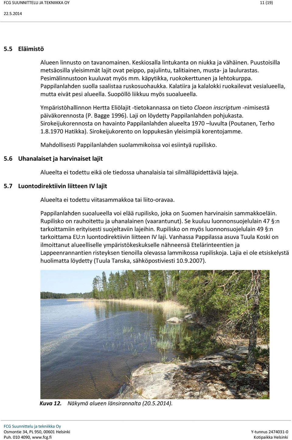 Pappilanlahden suolla saalistaa ruskosuohaukka. Kalatiira ja kalalokki ruokailevat vesialueella, mutta eivät pesi alueella. Suopöllö liikkuu myös suoalueella.