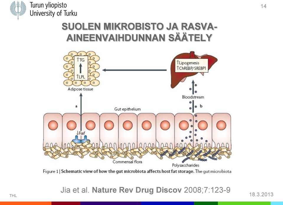 SÄÄTELY THL Jia et al.