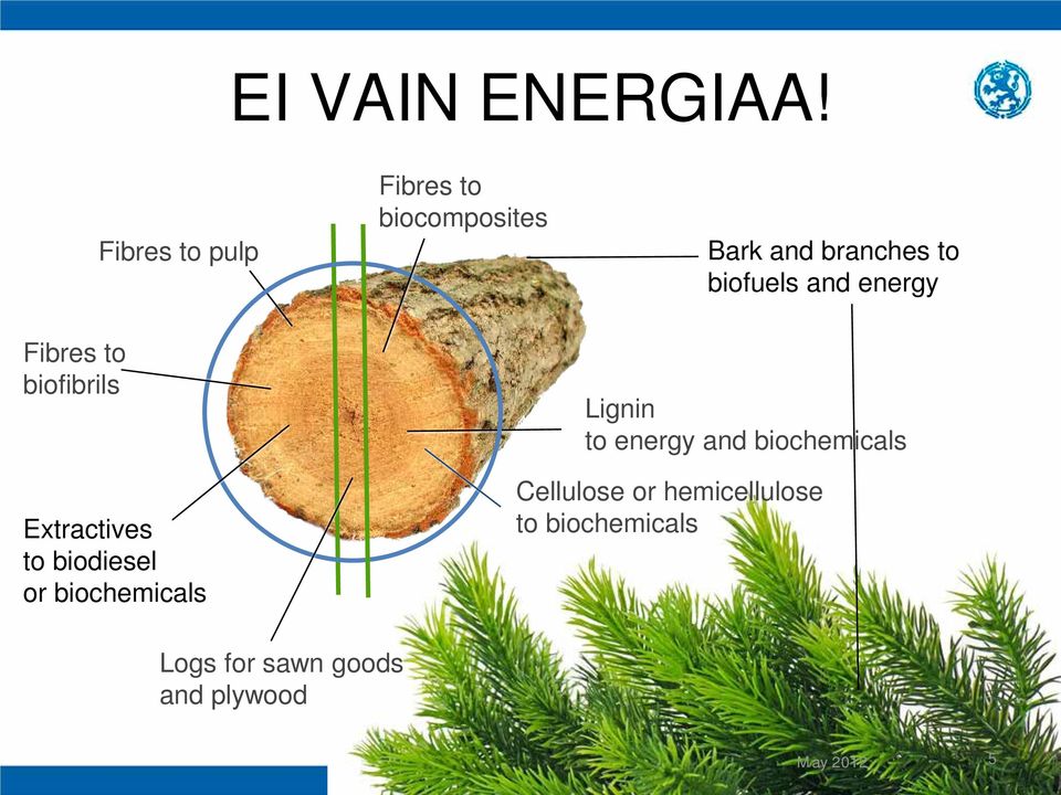 and energy Fibres to biofibrils Lignin to energy and biochemicals