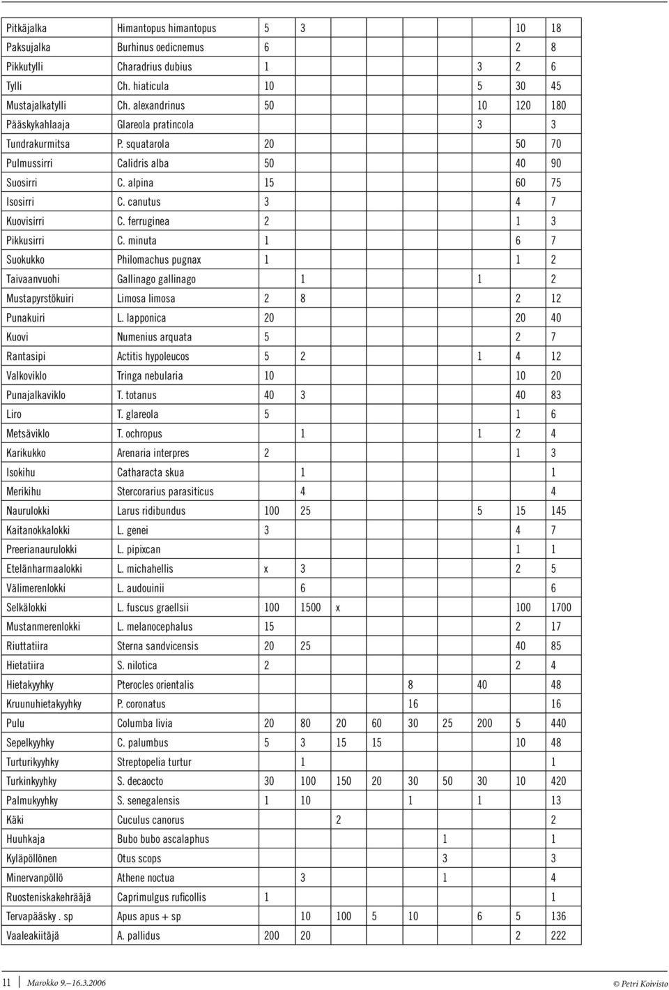 ferruginea Pikkusirri C. minuta 6 7 Suokukko Philomachus pugnax Taivaanvuohi Gallinago gallinago Mustapyrstökuiri Limosa limosa 8 Punakuiri L.