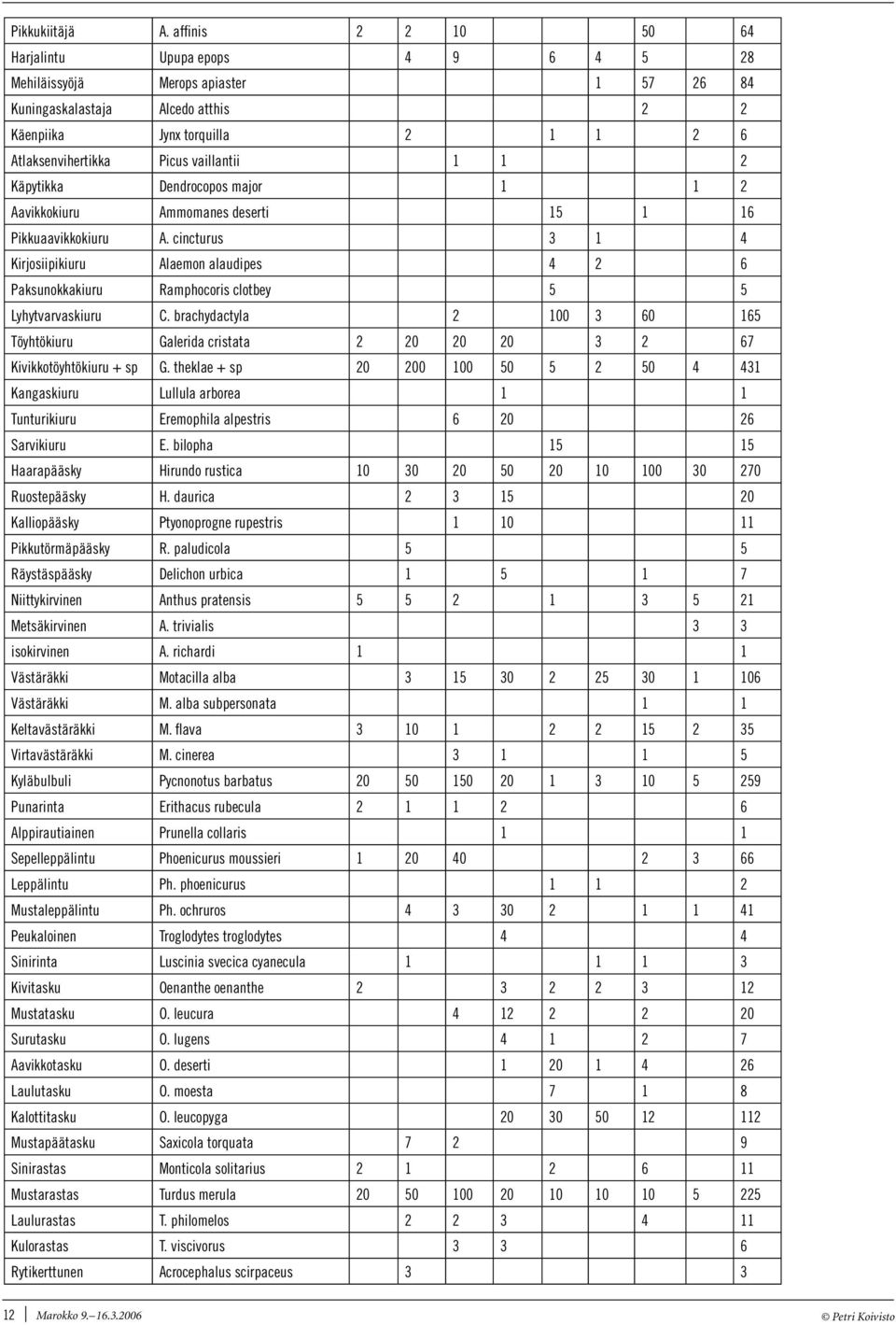 major Aavikkokiuru Ammomanes deserti 5 6 Pikkuaavikkokiuru A. cincturus Kirjosiipikiuru Alaemon alaudipes 6 Paksunokkakiuru Ramphocoris clotbey 5 5 Lyhytvarvaskiuru C.