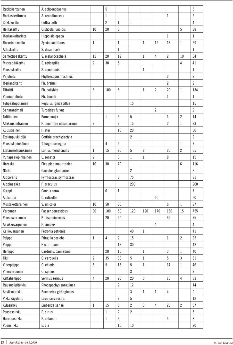 melanocephala 5 0 0 6 Mustapääkerttu S. atricapilla 0 5 Pensaskerttu S. communis Pajulintu Phylloscopus trochilus Iberiantiltaltti Ph. brehmii Tiltaltti Ph. collybita 5 00 5 0 Vuoriuunilintu Ph.