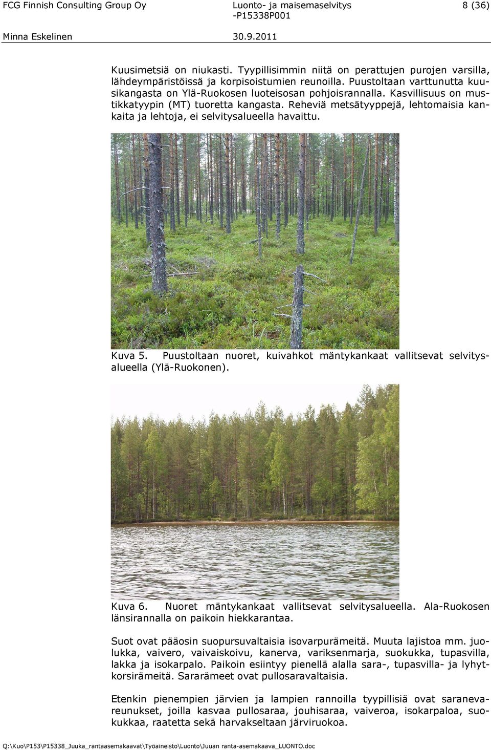 Reheviä metsätyyppejä, lehtomaisia kankaita ja lehtoja, ei selvitysalueella havaittu. Kuva 5. Puustoltaan nuoret, kuivahkot mäntykankaat vallitsevat selvitysalueella (Ylä-Ruokonen). Kuva 6.