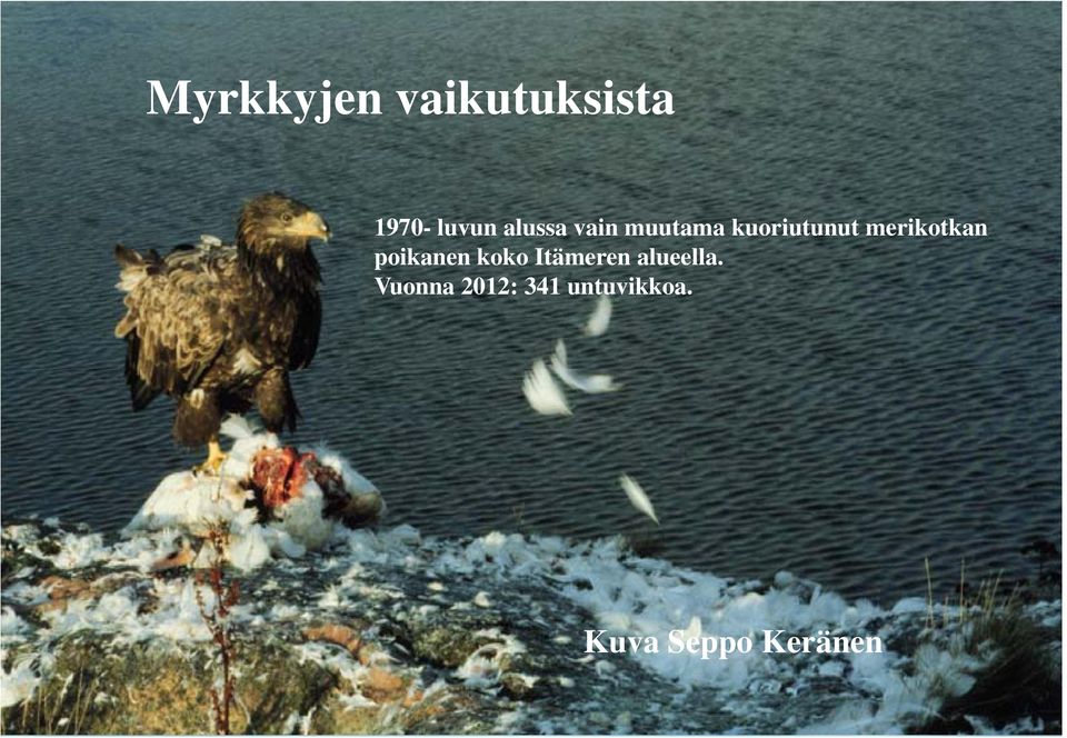 Itämeren alueella. Vuonna 2012: 341 untuvikkoa.
