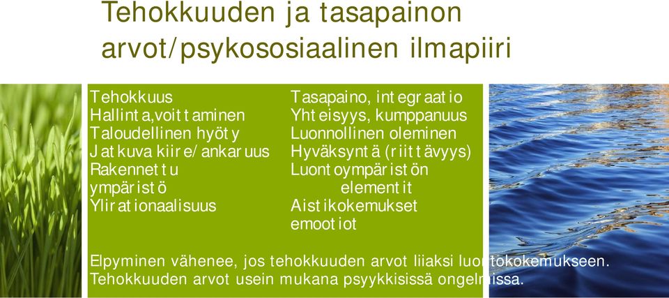 Luonnollinen oleminen Hyväksyntä (riittävyys) Luontoympäristön elementit Aistikokemukset emootiot Elpyminen