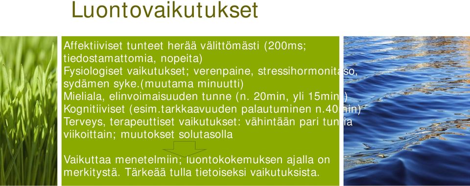 20min, yli 15min)) Kognitiiviset (esim.tarkkaavuuden palautuminen n.