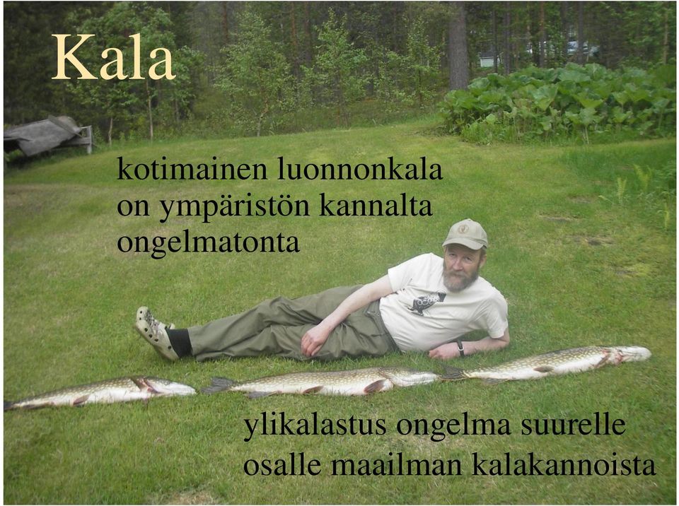 ongelmatonta ylikalastus