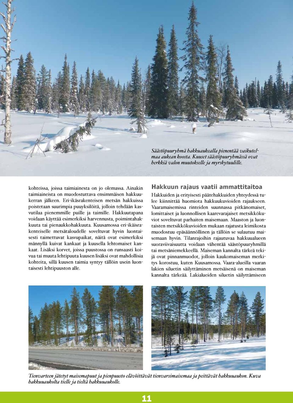 Eri-ikäsrakenteisen metsän hakkuissa poistetaan suurimpia puuyksilöitä, jolloin tehdään kasvutilaa pienemmille puille ja taimille.