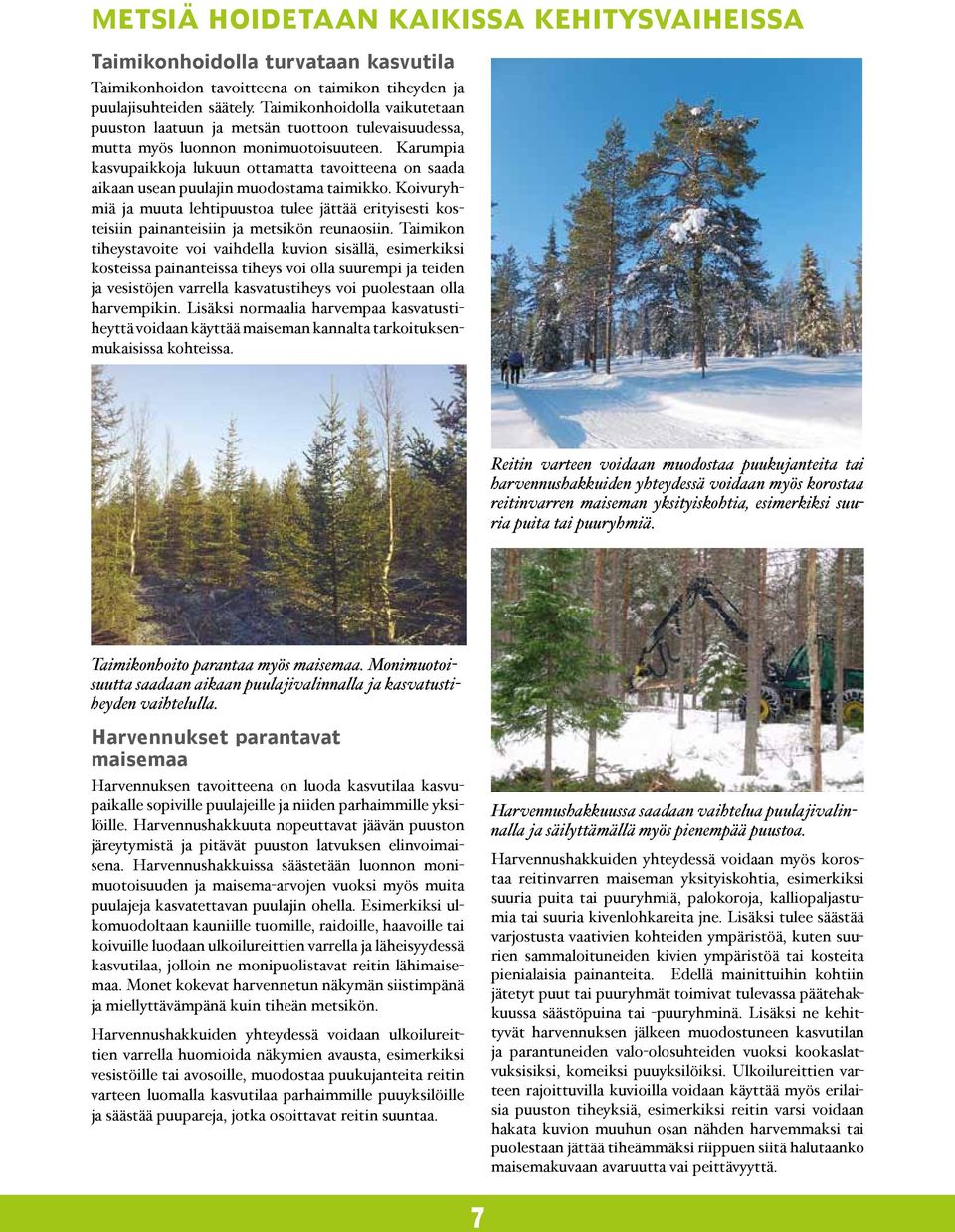 Karumpia kasvupaikkoja lukuun ottamatta tavoitteena on saada aikaan usean puulajin muodostama taimikko.