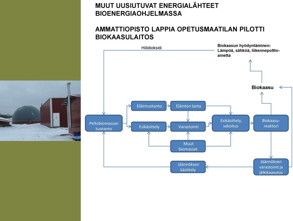 lanta Peltobiomassan tuotanto Esikäsittely Varastointi Esikäsittely, sekoitus