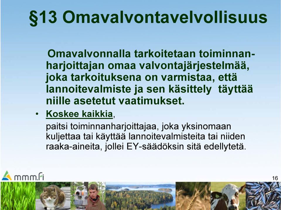 täyttää niille asetetut vaatimukset.