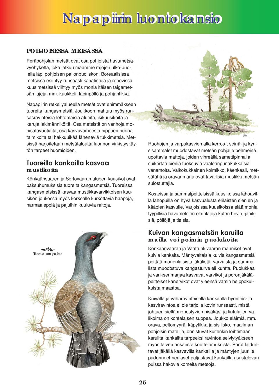 Napapiirin retkeilyalueella metsät ovat enimmäkseen tuoreita kangasmetsiä. Joukkoon mahtuu myös runsasravinteisia lehtomaisia alueita, ikikuusikoita ja karuja lakimänniköitä.