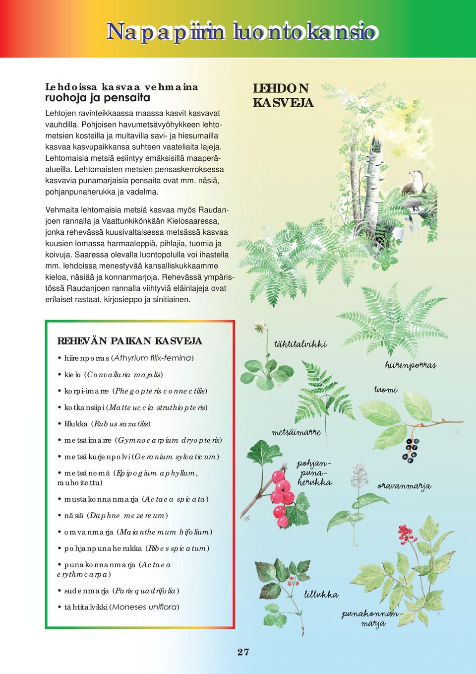 Lehtomaisten metsien pensaskerroksessa kasvavia punamarjaisia pensaita ovat mm. näsiä, pohjanpunaherukka ja vadelma.