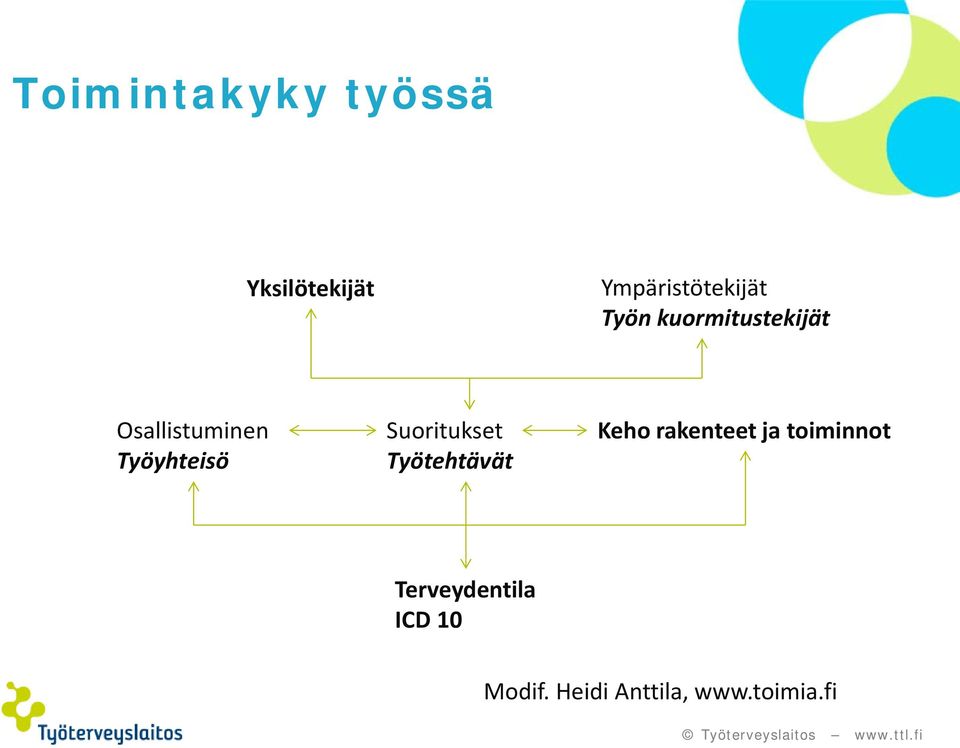 Suoritukset Työtehtävät Keho rakenteet ja toiminnot