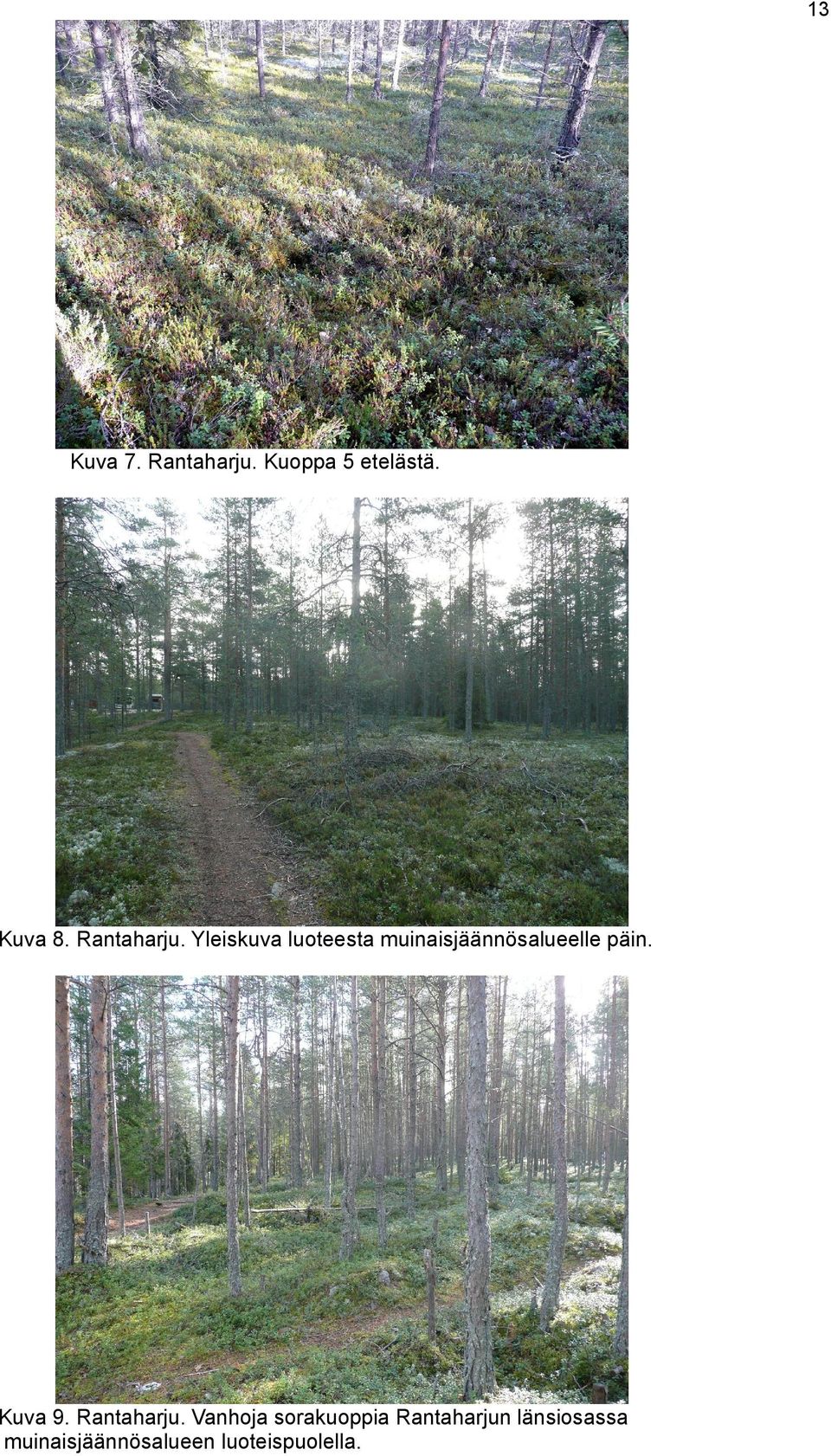 Yleiskuva luoteesta muinaisjäännösalueelle päin.
