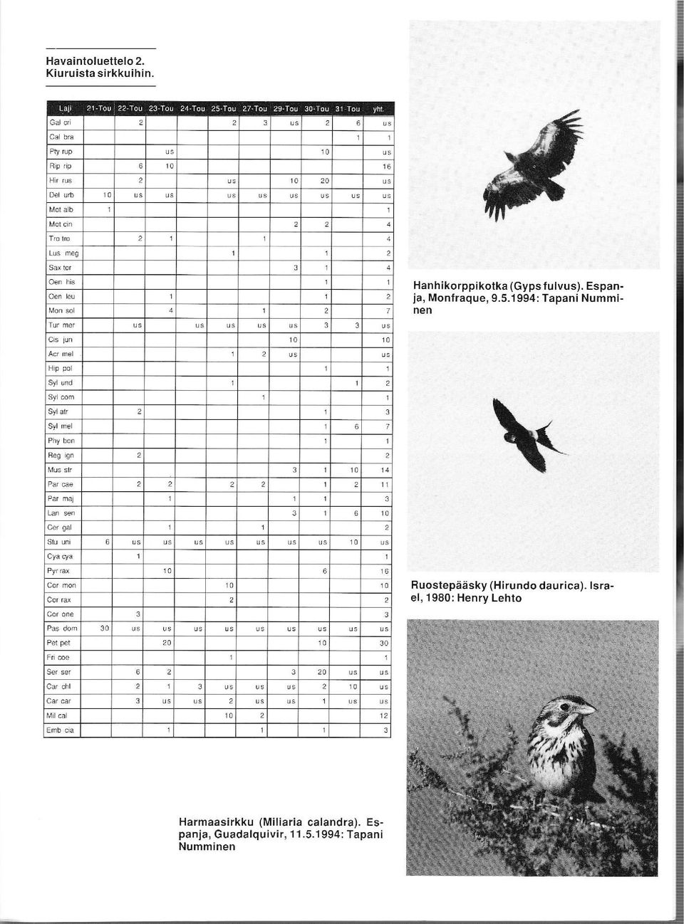 1994: Tapani Numminen 1 2 2 Ruostepääsky (Hirundo daurica).